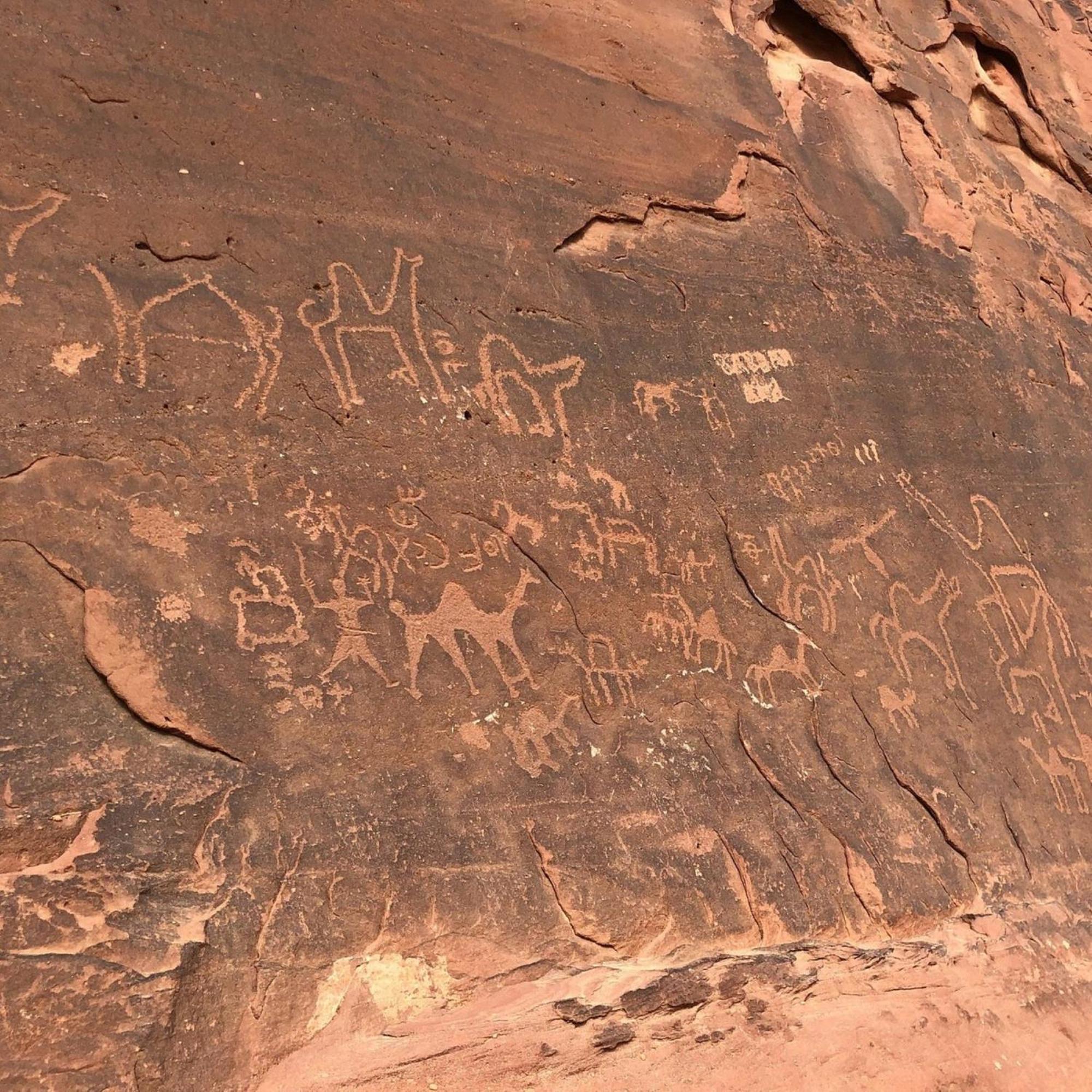 Bed and Breakfast Calm Camp Wadi Rum Exterior foto